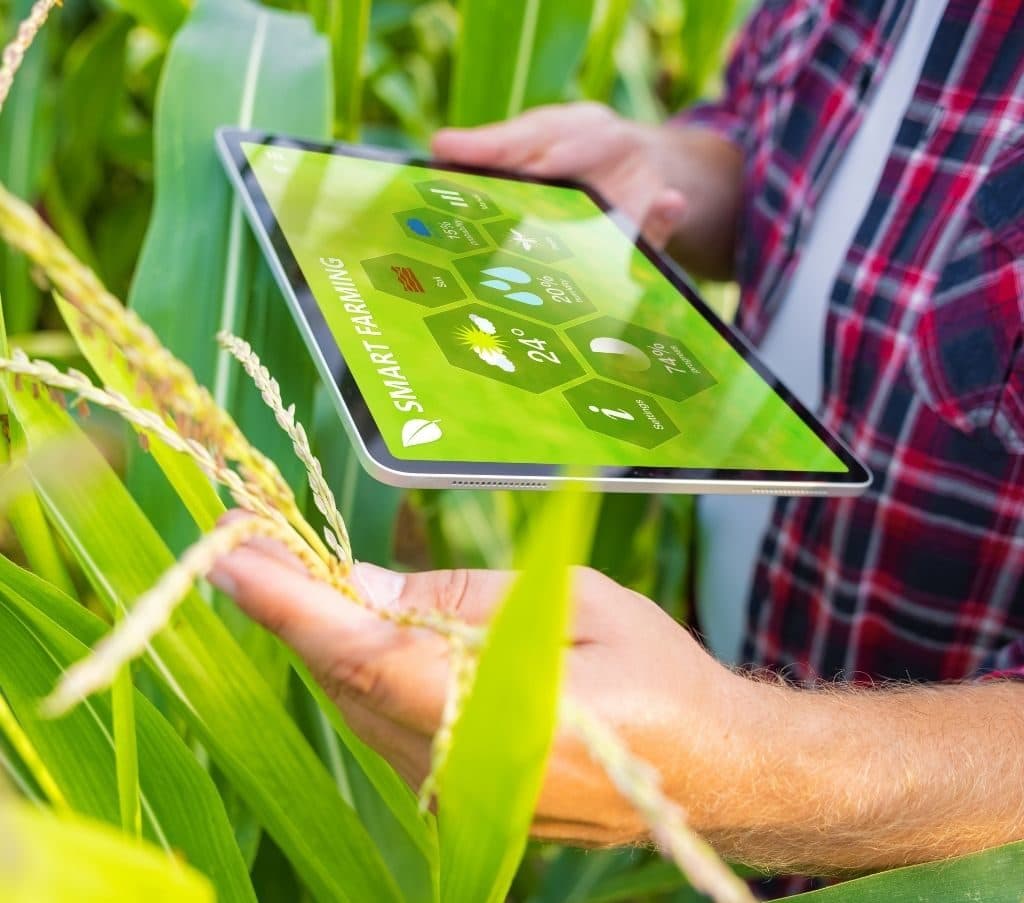 Diplomatura en Agronegocios